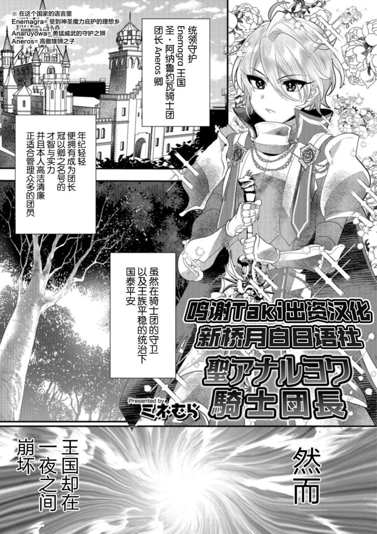 セイアナルヨワ岸団長 セイアナルヨワ岸団長