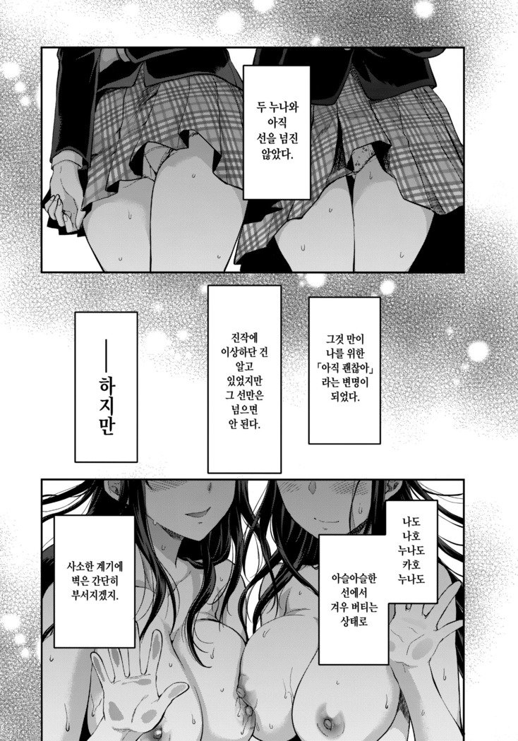 双子あね+おまけの本