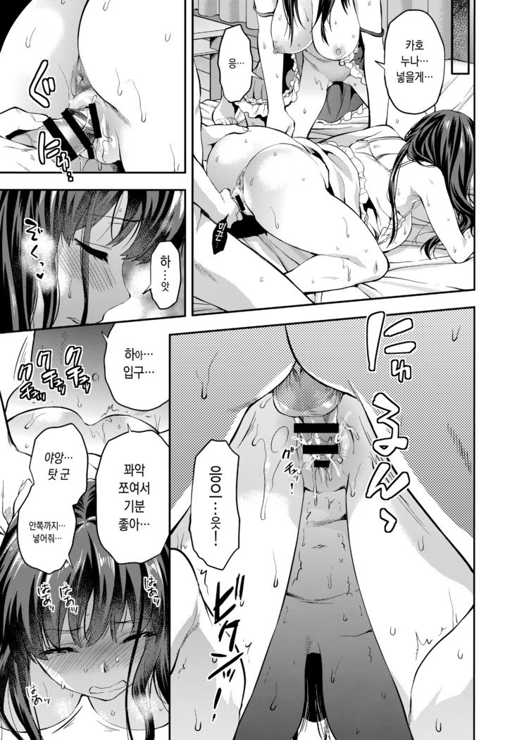 双子あね+おまけの本