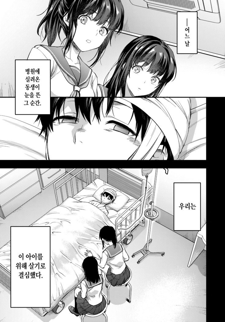 双子あね+おまけの本