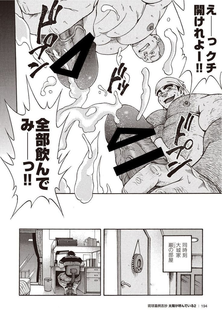 太陽がよんでイル2