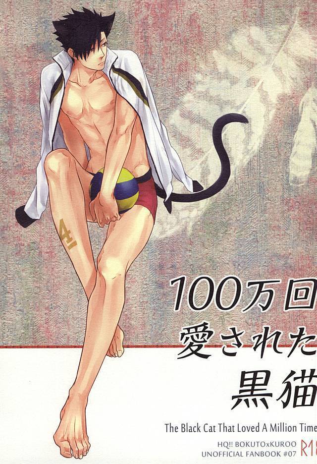 100万回愛された黒猫 100万回愛された黒猫