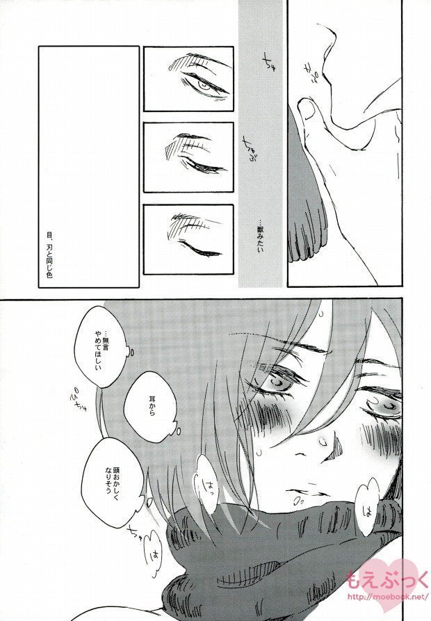 【EBGR】【進撃の巨人/ RivaMika 3】 【EBGR】【進撃の巨人/ RivaMika 3】