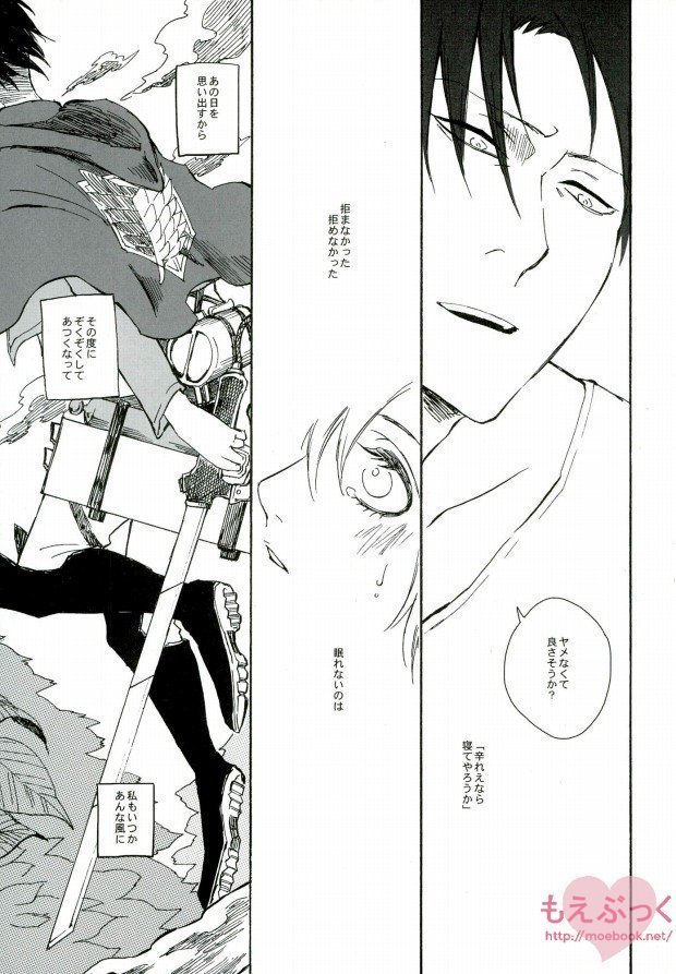 【EBGR】【進撃の巨人/ RivaMika 3】 【EBGR】【進撃の巨人/ RivaMika 3】