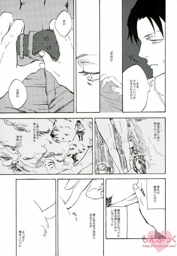 【EBGR】【進撃の巨人/ RivaMika 3】 【EBGR】【進撃の巨人/ RivaMika 3】