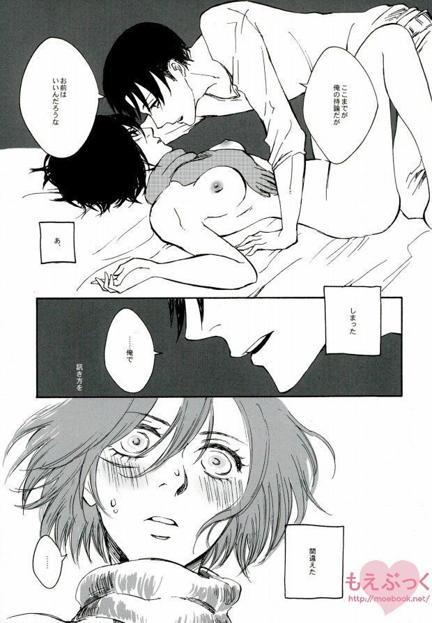 【EBGR】【進撃の巨人/ RivaMika 3】 【EBGR】【進撃の巨人/ RivaMika 3】
