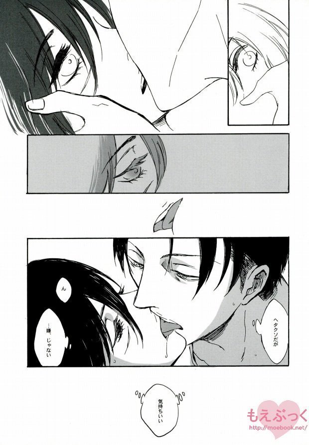 【EBGR】【進撃の巨人/ RivaMika 3】 【EBGR】【進撃の巨人/ RivaMika 3】