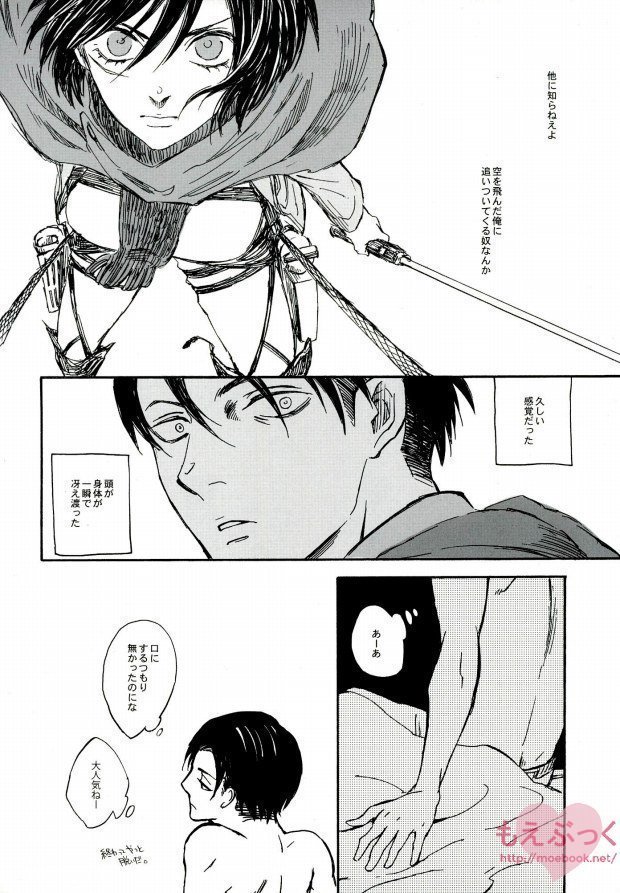【EBGR】【進撃の巨人/ RivaMika 3】 【EBGR】【進撃の巨人/ RivaMika 3】