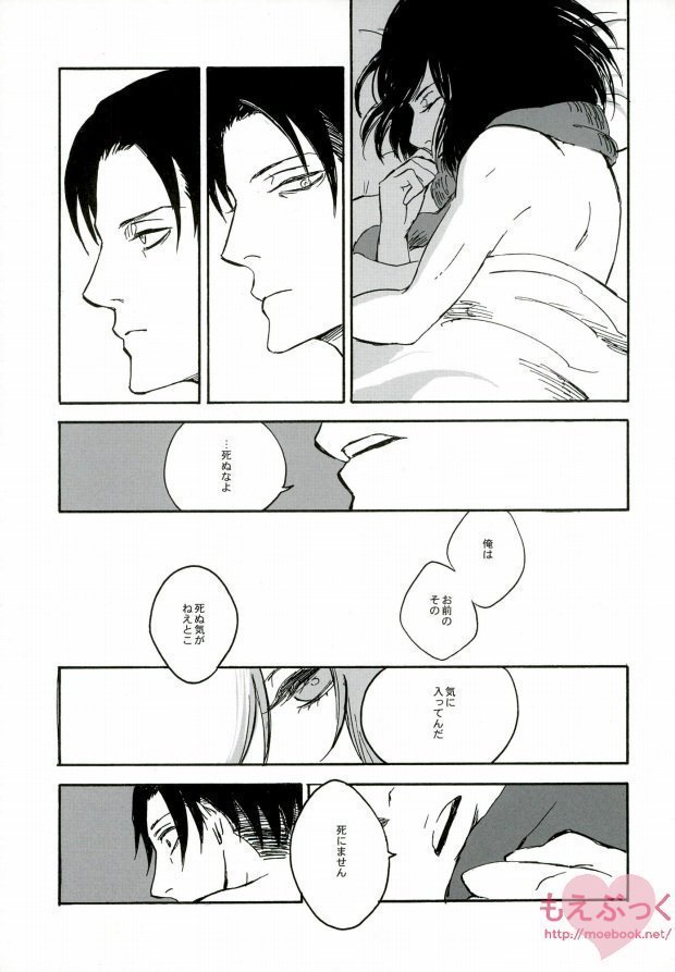 【EBGR】【進撃の巨人/ RivaMika 3】 【EBGR】【進撃の巨人/ RivaMika 3】