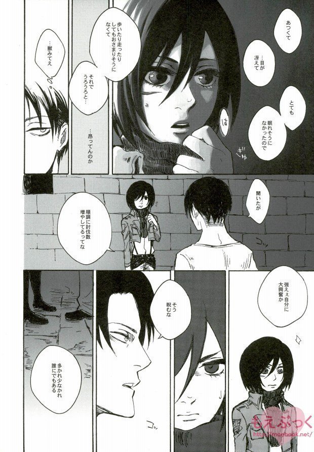 【EBGR】【進撃の巨人/ RivaMika 3】 【EBGR】【進撃の巨人/ RivaMika 3】