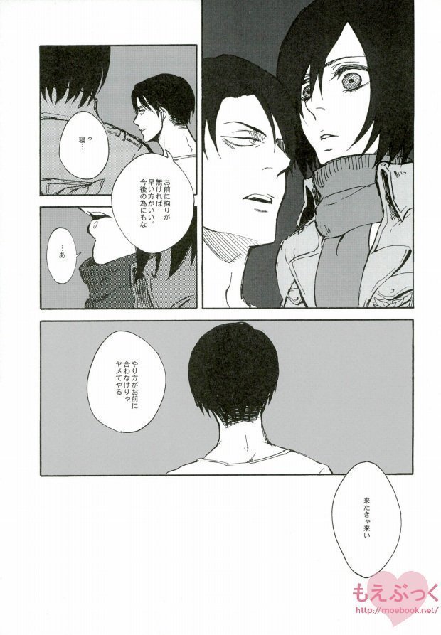 【EBGR】【進撃の巨人/ RivaMika 3】 【EBGR】【進撃の巨人/ RivaMika 3】