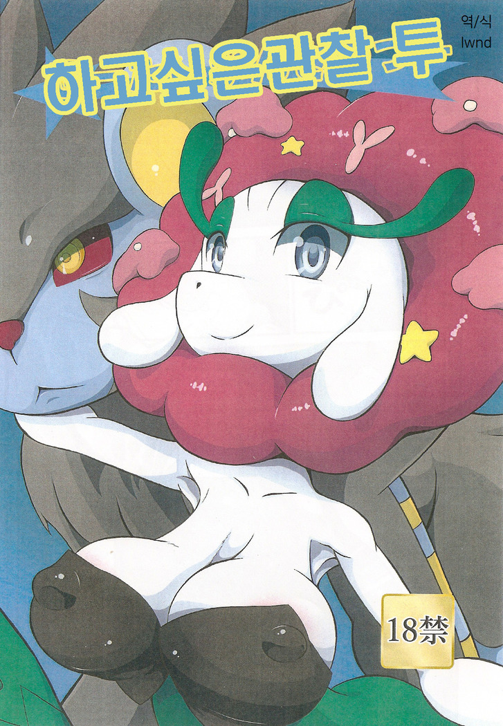 シータイかんさつつ