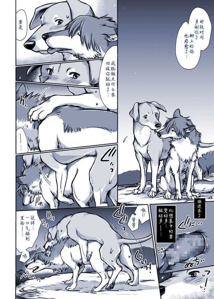 ある犬のばい|某只狗的视角 ある犬のばい|某只狗的视角