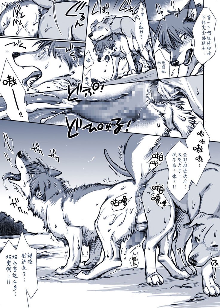 ある犬のばい|某只狗的视角 ある犬のばい|某只狗的视角
