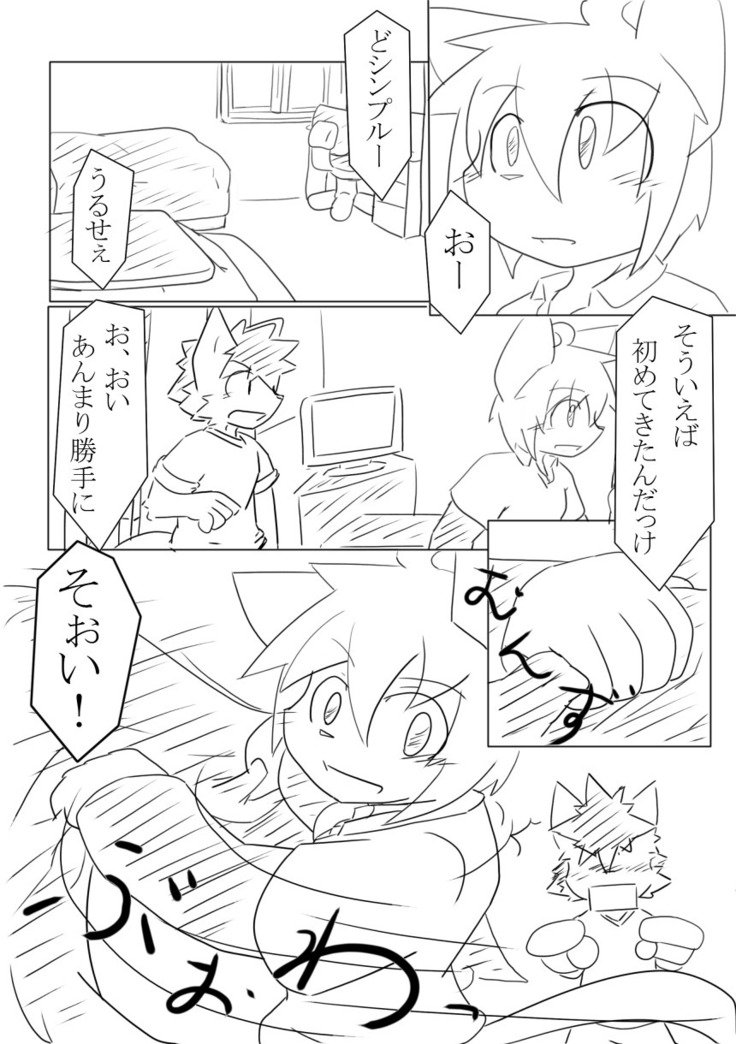 DSカバー！