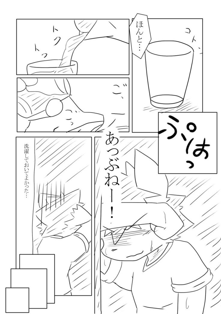 DSカバー！