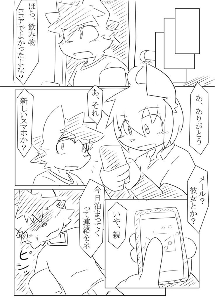 DSカバー！