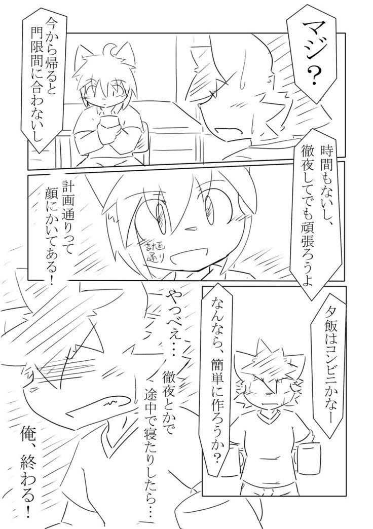 DSカバー！