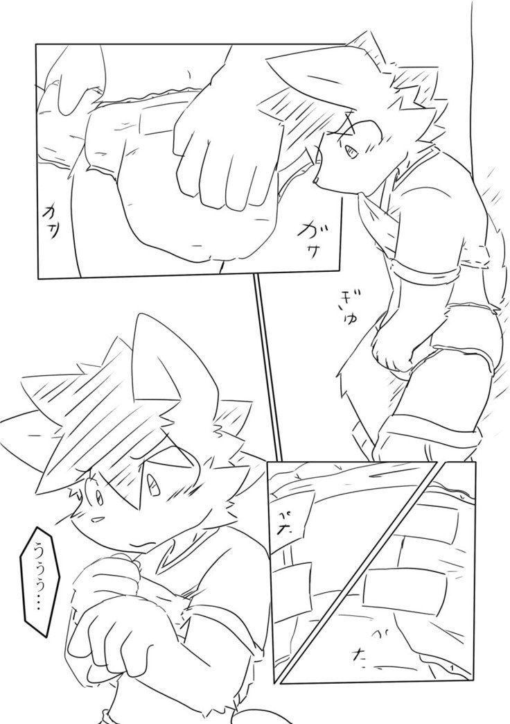 DSカバー！