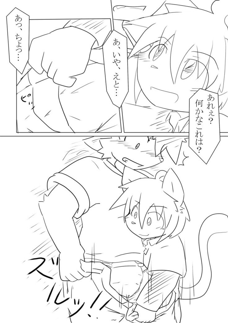 DSカバー！