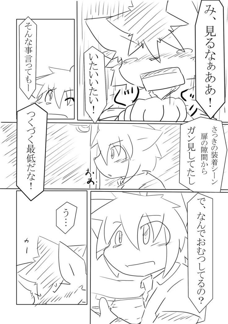 DSカバー！