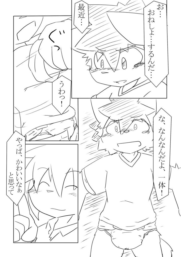 DSカバー！