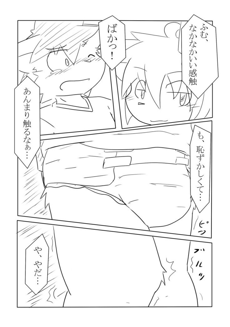 DSカバー！