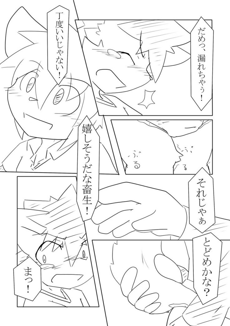 DSカバー！