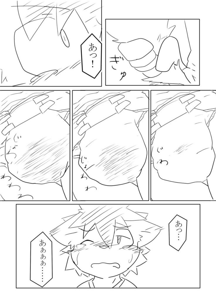 DSカバー！