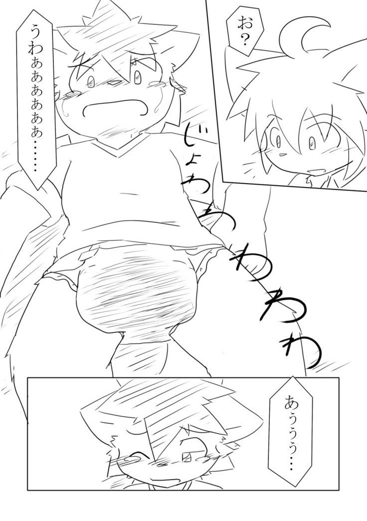 DSカバー！