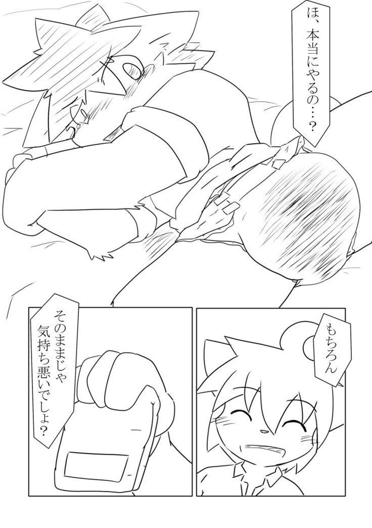 DSカバー！