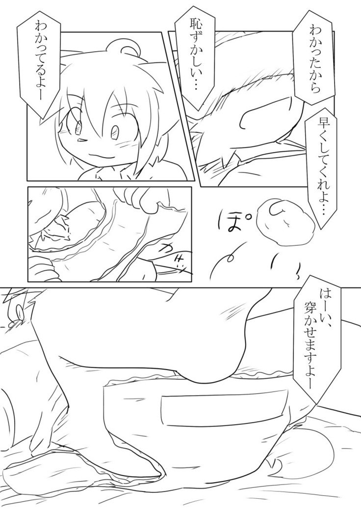 DSカバー！