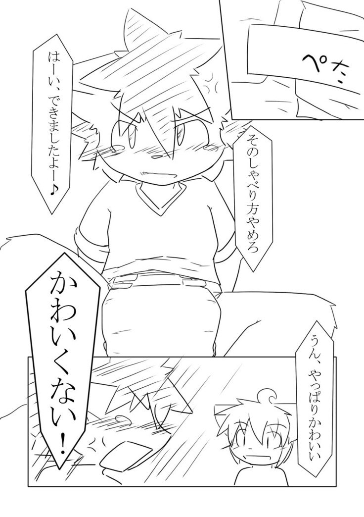 DSカバー！
