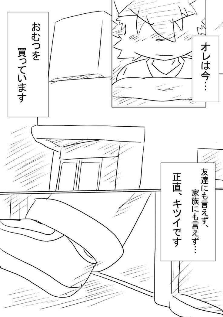 DSカバー！