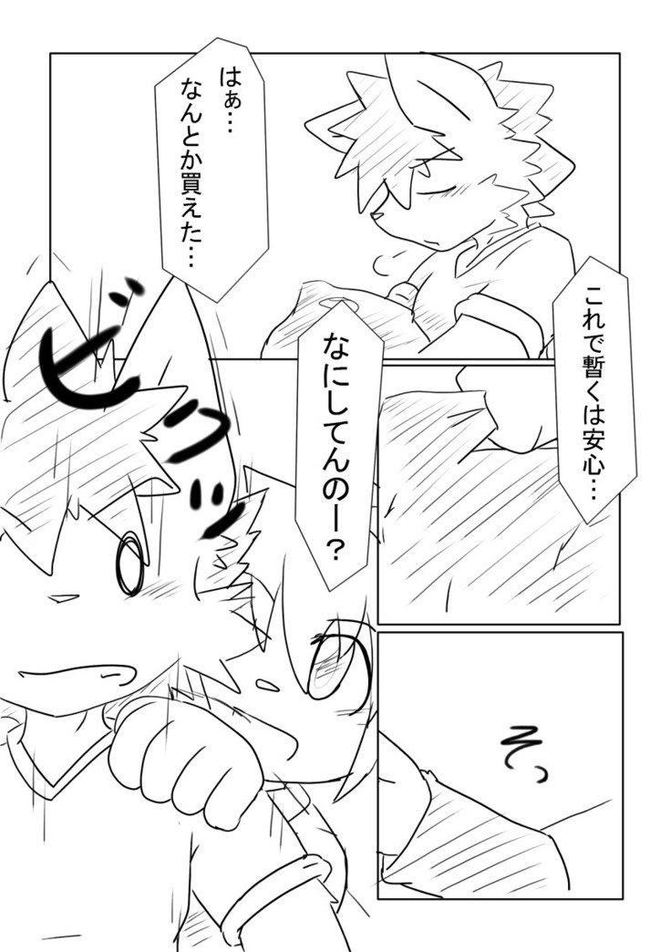 DSカバー！