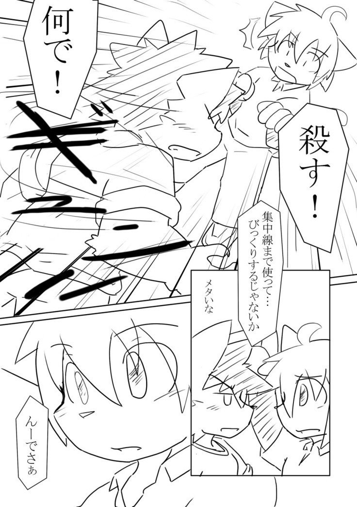 DSカバー！