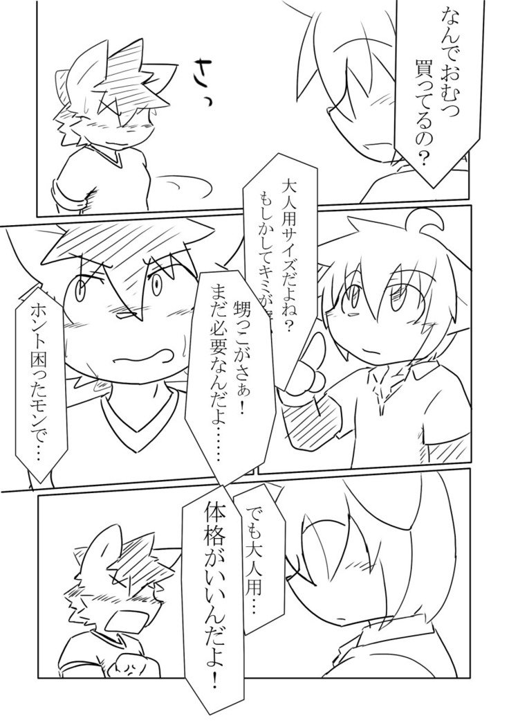 DSカバー！