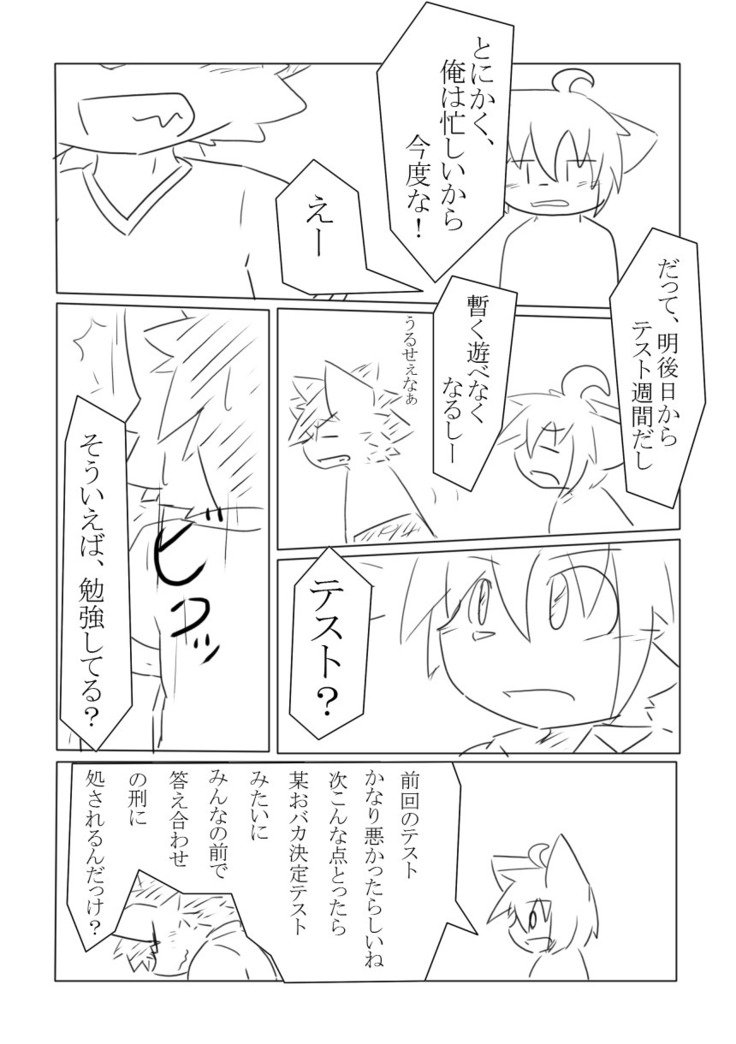 DSカバー！