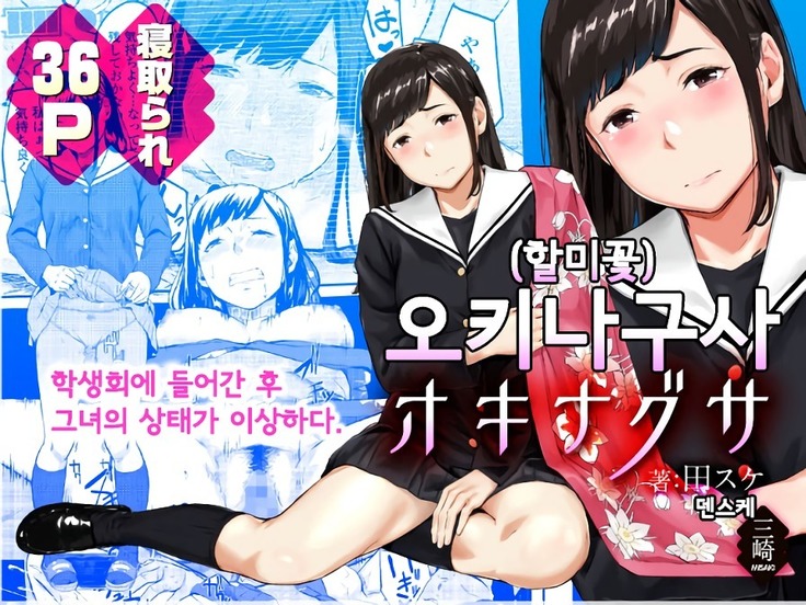 オキナグサ| 오키나구사