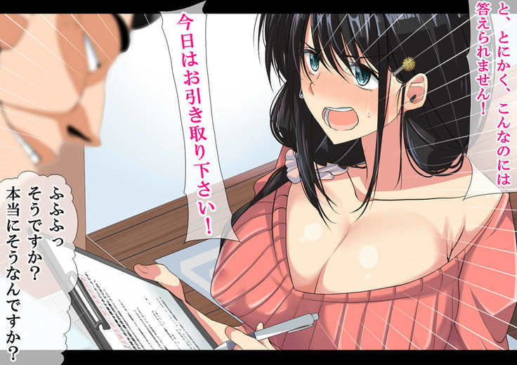 NTR日記〜ひとづま、京子の日記〜