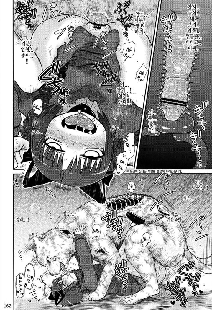 ケンビョウイカリの初条木