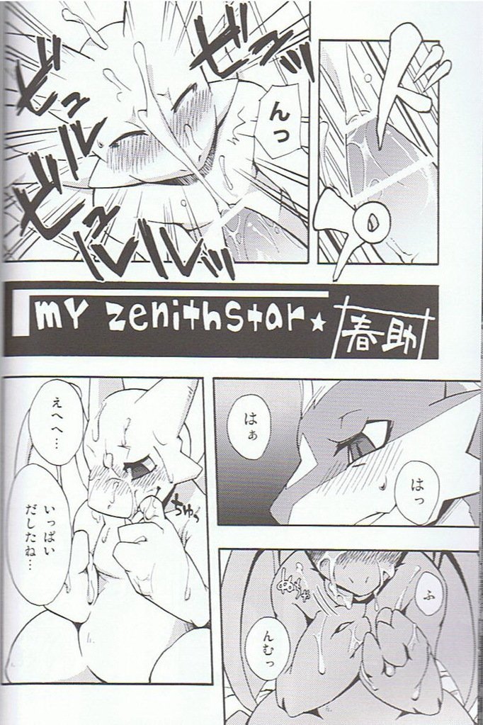 私の天頂星