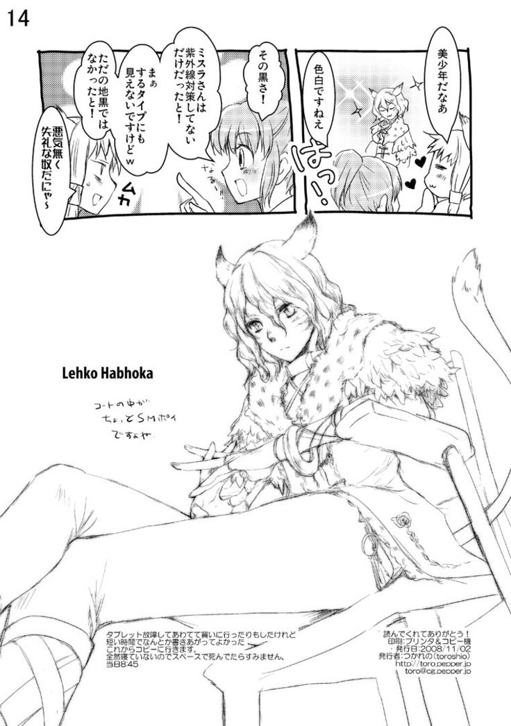 NPC +α NPC +α