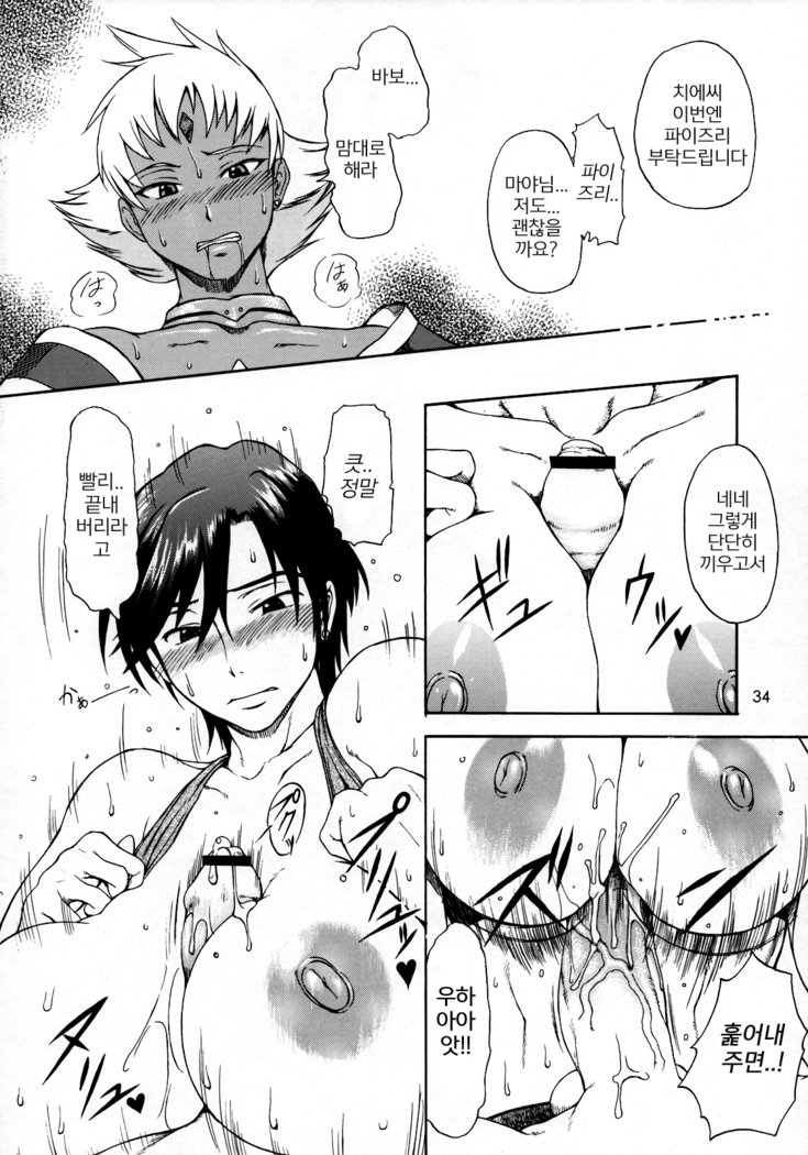 ハイジョコントンチョウしょうぶすうぼんそうしゅうへんVer。 2007年