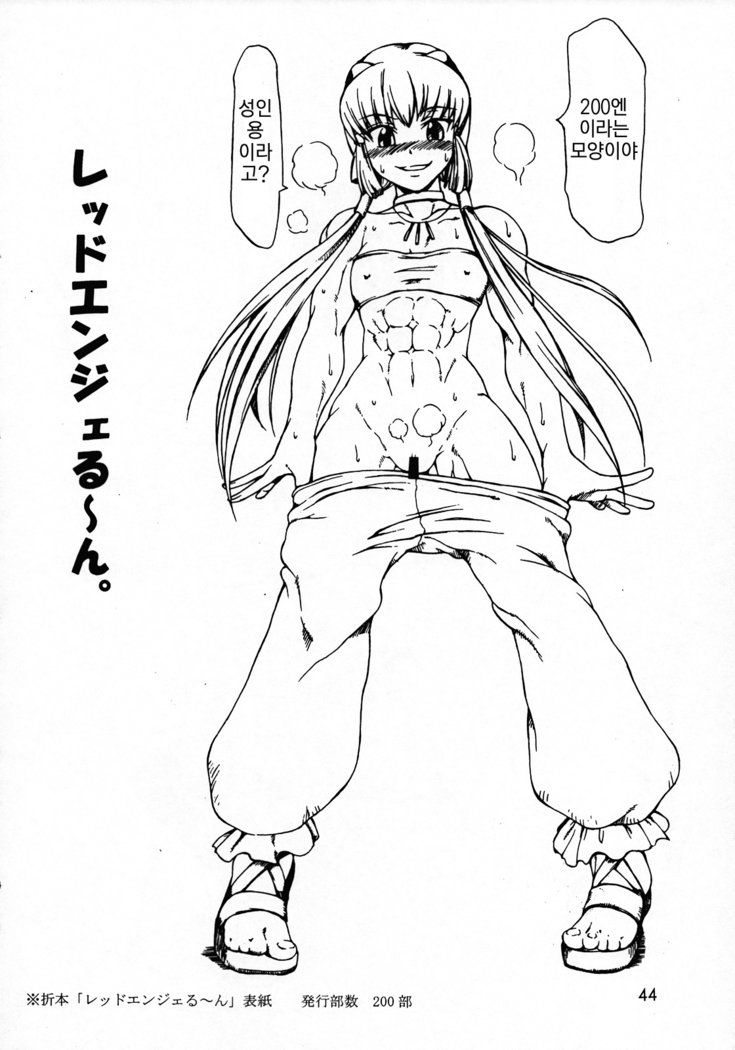 ハイジョコントンチョウしょうぶすうぼんそうしゅうへんVer。 2007年