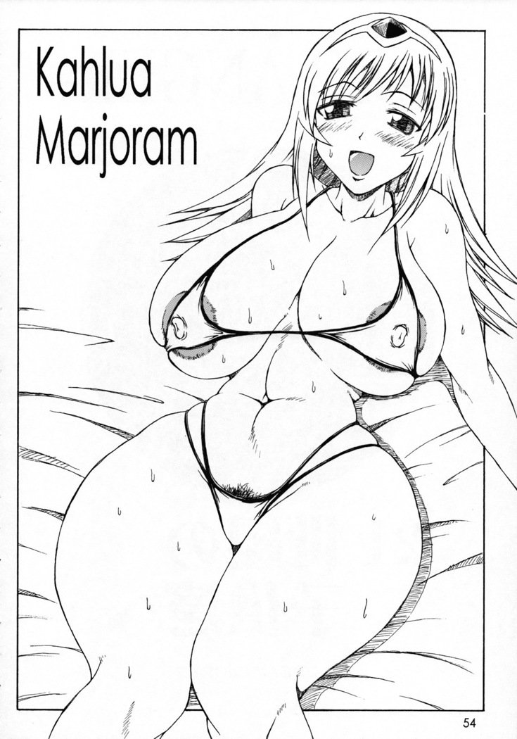 ハイジョコントンチョウしょうぶすうぼんそうしゅうへんVer。 2007年