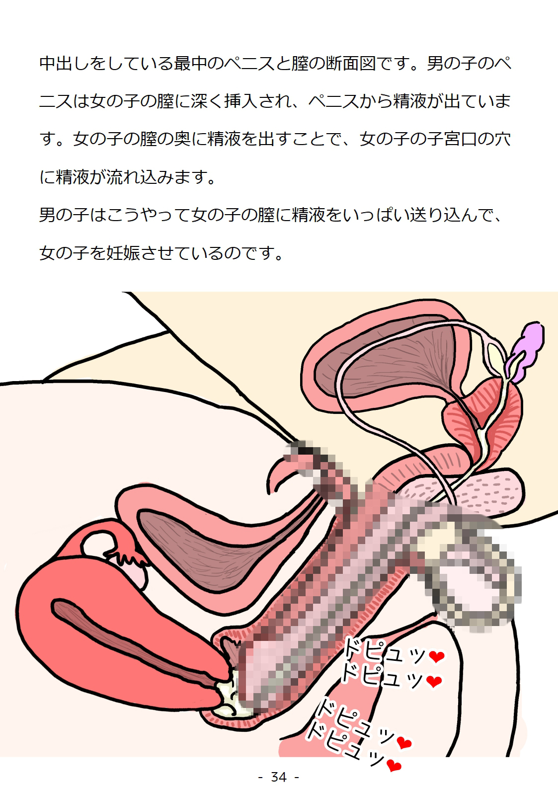 [poza] 思春期の男の子のための性教育・同級生の女の子とセックスをして赤ちゃんを作るおはなし