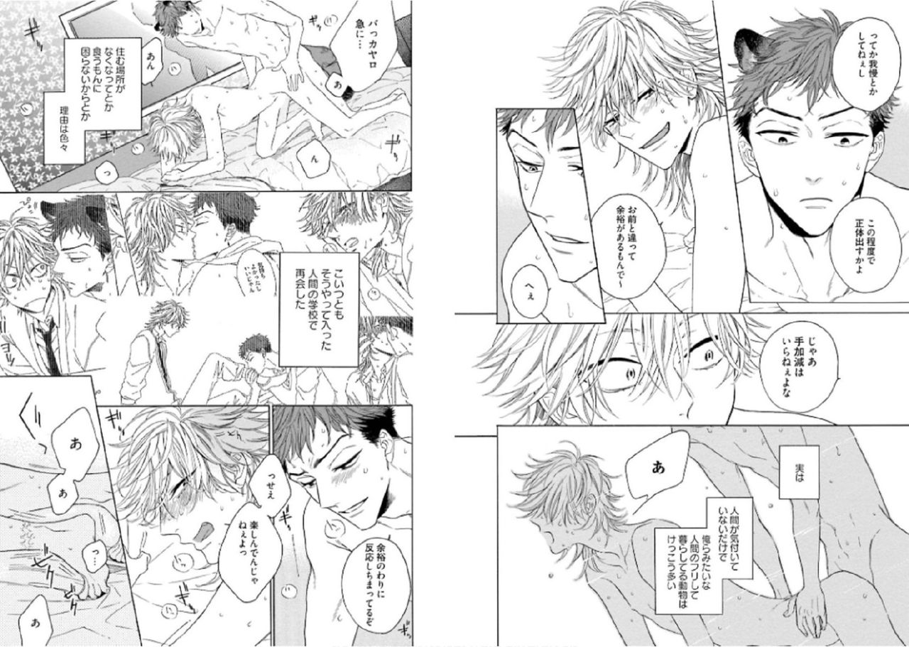 [文日野ユミ] キツネさん、化かし愛しましょ！[DL版]