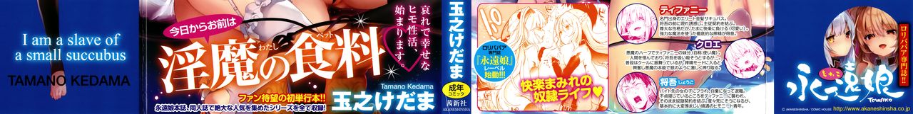 [玉之けだま] 僕は小さな淫魔のしもべ + メロンブックス限定 描き下ろし小冊子 + 同時購入特典 [英訳]