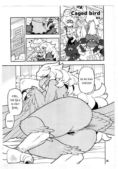 ケージバード ケージバード